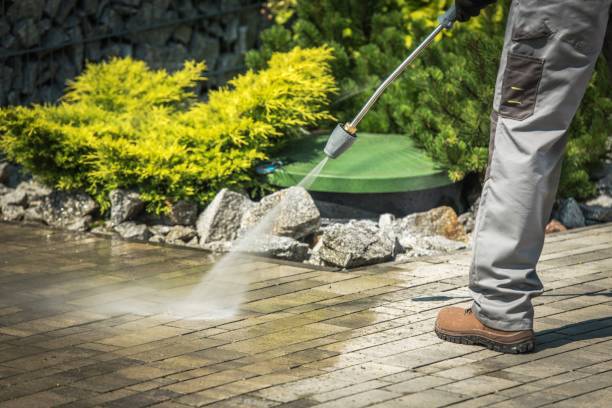 Reliable Needles, CA Pressure Washing Services Solutions
